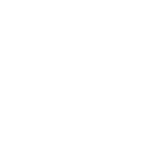 Logo white